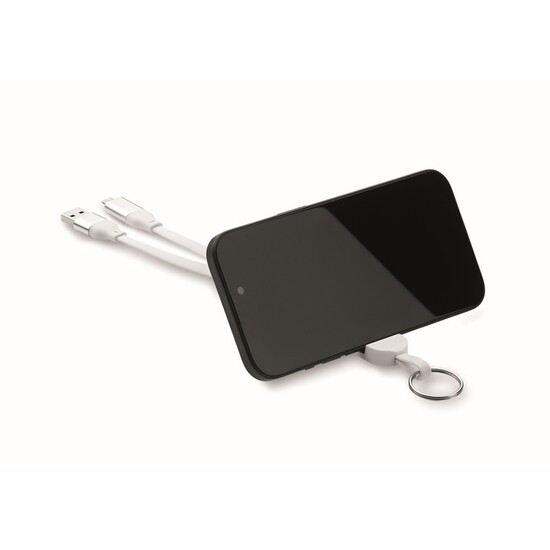Schlüsselring mit 60W Kabel