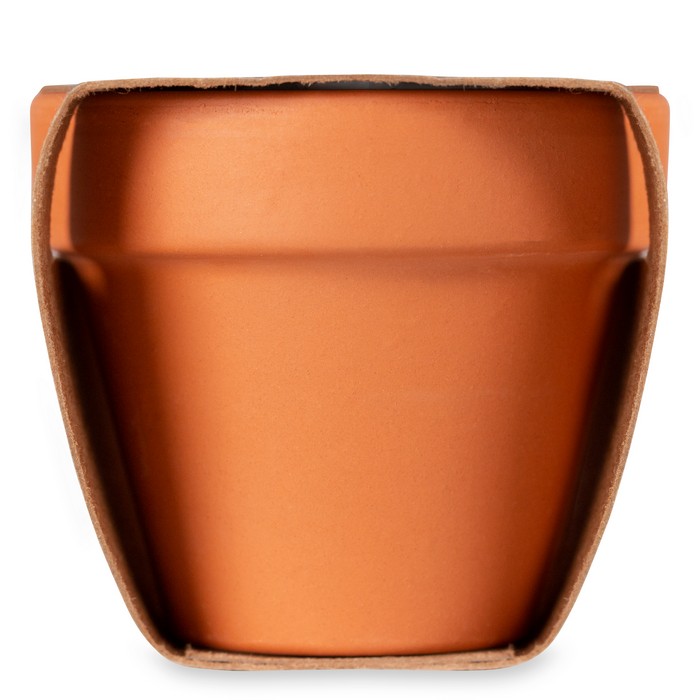 Terracotta-Topf Vergissmeinnich