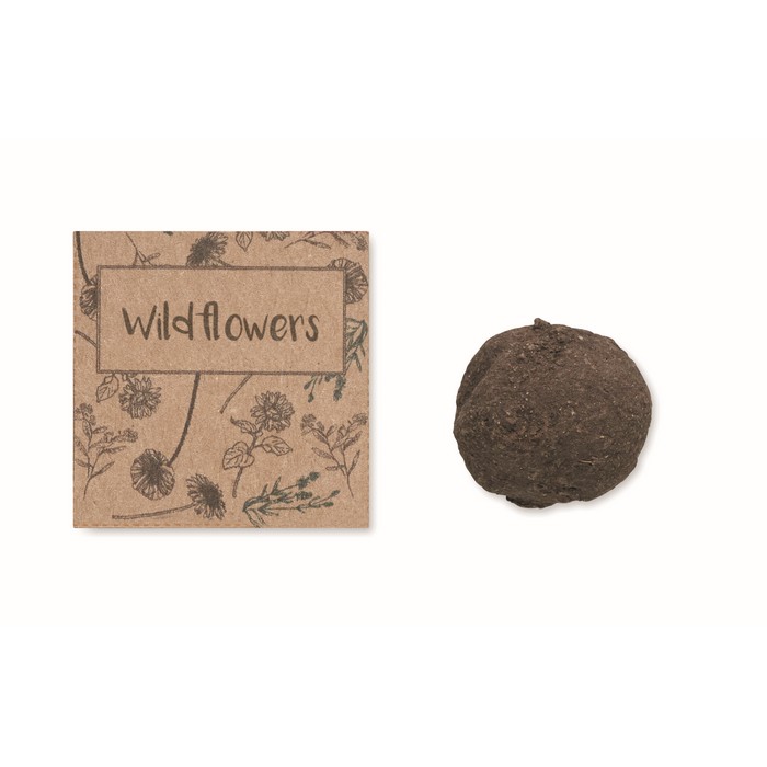 Saat-Set Wildblumen