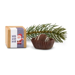 Geschenkset / Präsenteset: Pralinen-Gruß 2K2183
