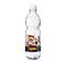 500 ml PromoWater - Mineralwasser - Folien-Etikett 2P004C