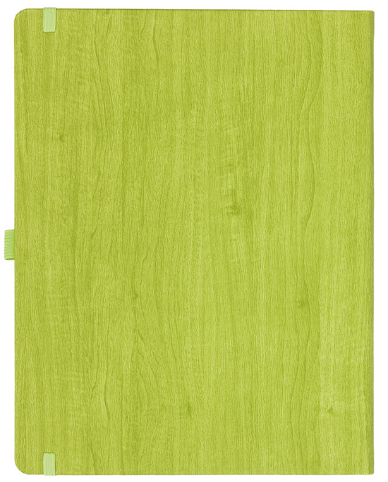 Notizbuch Style Large im Format 19x25cm, Inhalt blanco, Einband Woody in der Farbe Lime