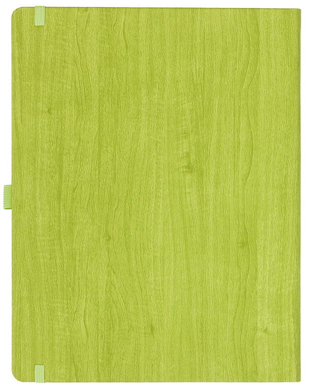 Notizbuch Style Large im Format 19x25cm, Inhalt liniert, Einband Woody in der Farbe Lime