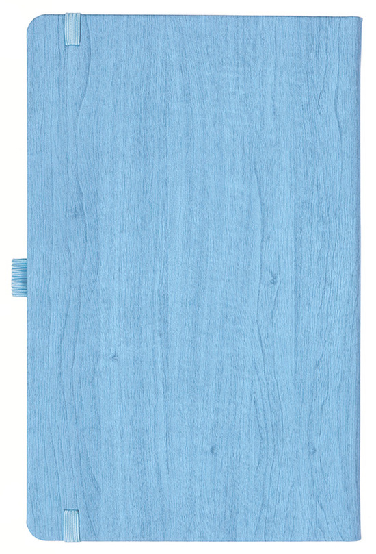 Notizbuch Style Medium im Format 13x21cm, Inhalt liniert, Einband Woody in der Farbe Sky