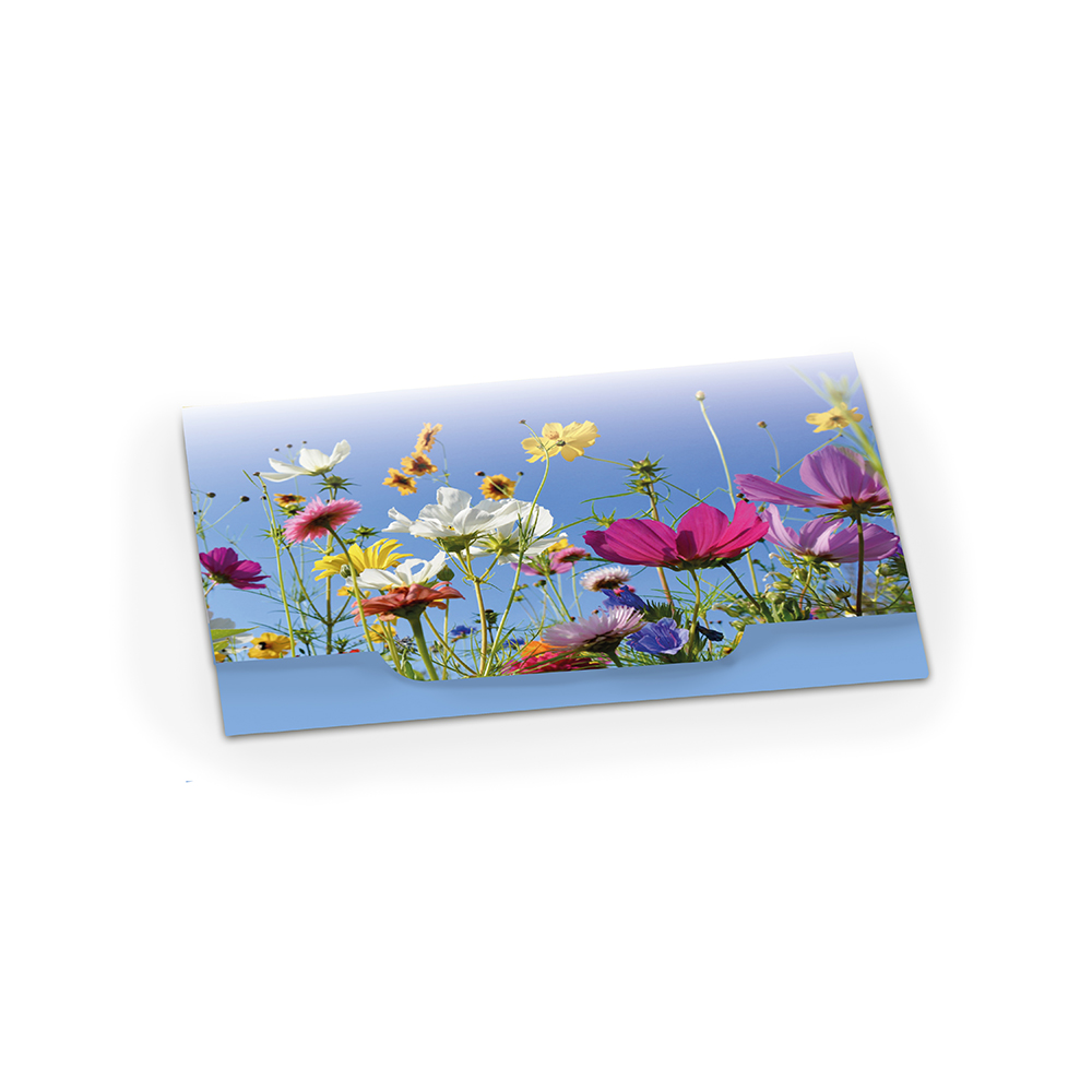 Samenpapier - Standardmotiv - Bienchen