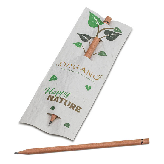 Bleistift im Samenpapieretui - Karotte, Druck 4/0c, Lasergravur