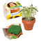 Logo-Töpfchen Komplettbanderole mit Samen - Gartenkresse