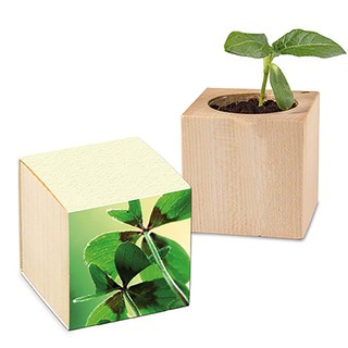 Pflanz-Holz mit Samen (Graspapier-Banderole) - Glücksklee-Zwiebel, 1 Seite gelasert (* Je nach Verfügbarkeit der Glücksklee-Zwiebeln)