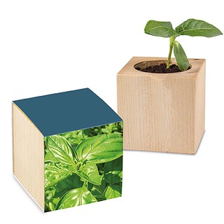 Pflanz-Holz mit Samen - Basilikum, 1 Seite gelasert