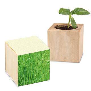 Pflanz-Holz mit Samen (Graspapier-Banderole) - Gras, 2 Seiten gelasert
