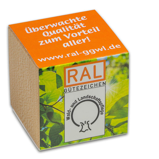 Pflanz-Holz mit Samen (Graspapier-Banderole) - Sonnenblume, 2 Seiten gelasert