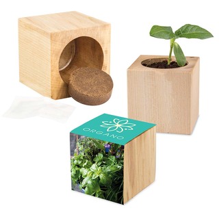 Pflanz-Holz Maxi mit Samen - Kräutermischung, 1 Seite gelasert