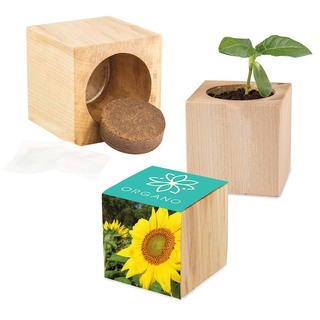 Pflanz-Holz Maxi mit Samen - Sonnenblume, 2 Seiten gelasert