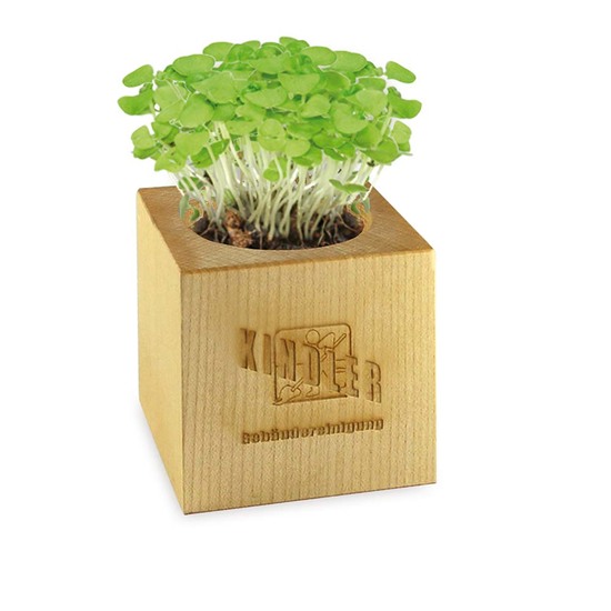 Pflanz-Holz Maxi mit Samen - Sonnenblume, 2 Seiten gelasert