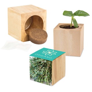 Pflanz-Holz Maxi mit Samen - Thymian, 2 Seiten gelasert