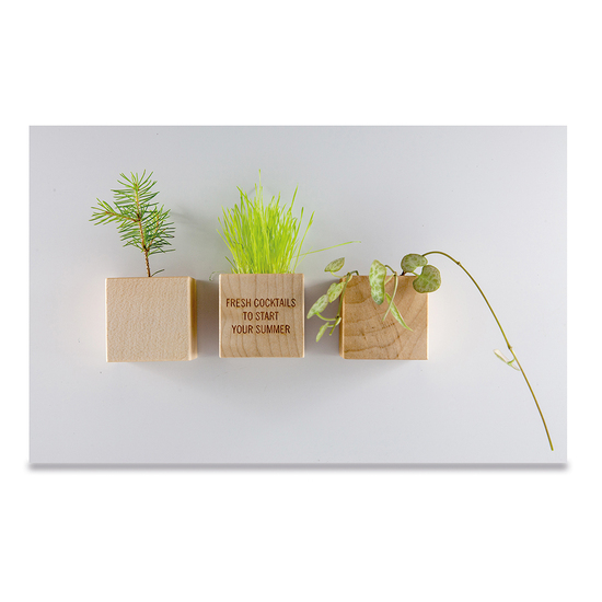 Pflanz-Holz Magnet mit Samen - Gartenkresse, 1 Seite gelasert