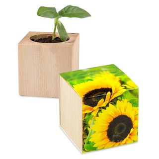 Pflanz-Holz - Standardmotiv - Sonnenblume - inkl. Lasergravur auf einer Seite