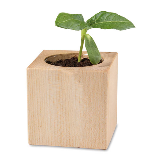 Pflanz-Holz - Standardmotiv - Sonnenblume - 1 Seite gelasert