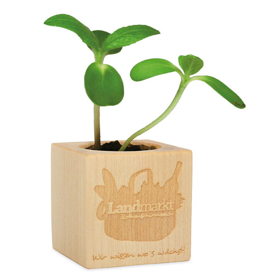 Pflanz-Holz - Standardmotiv - Sonnenblume - 1 Seite gelasert