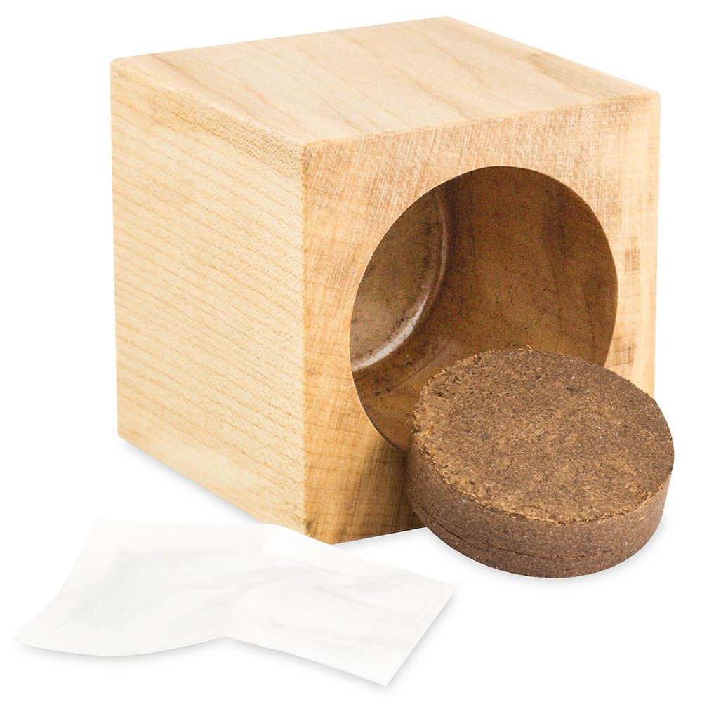 Pflanz-Holz Star-Box mit Samen - Sommerblumenmischung