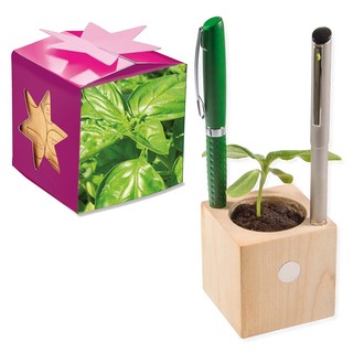 Pflanz-Holz Büro Star-Box mit Samen - Basilikum