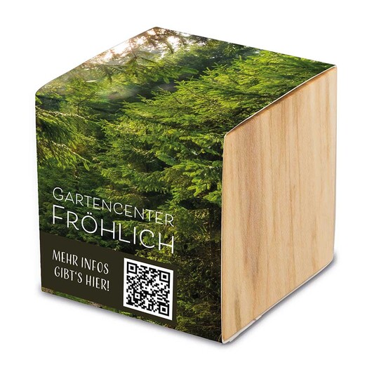 Pflanz-Holz Grande mit Samen - Petersilie