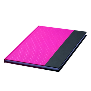 Notizbuch SIGNUM im DIN-A5-Format 56-1103326