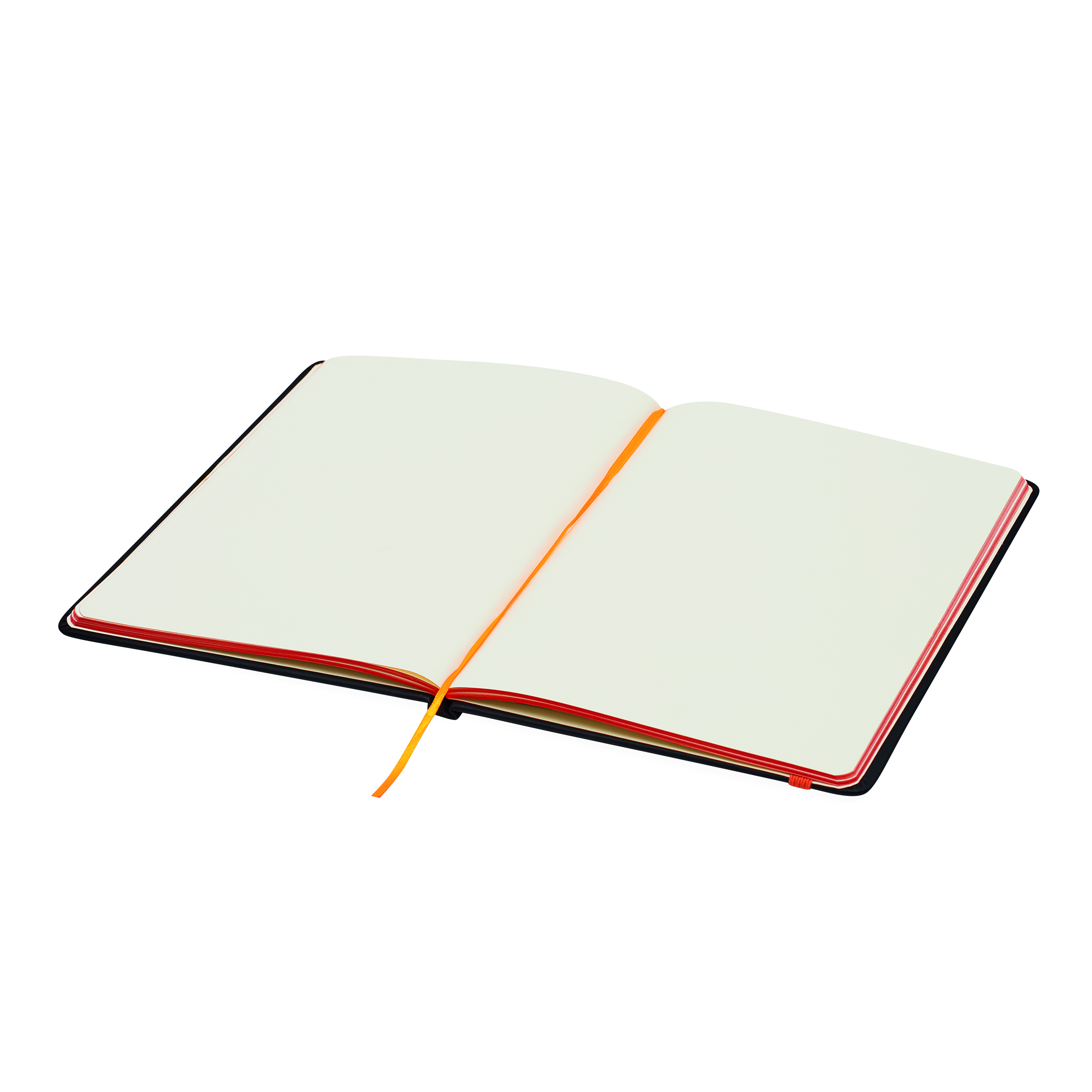 Notizbuch LECTOR im DIN-A5-Format