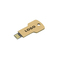 USB Stick Greencard key 16 GB