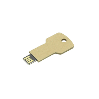 USB Stick Greencard key 16 GB
