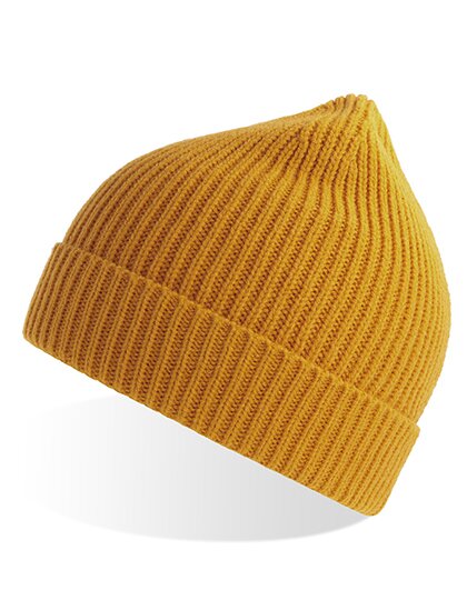 AT103 Andy Beanie