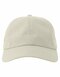 AT681 Dad Hat-S