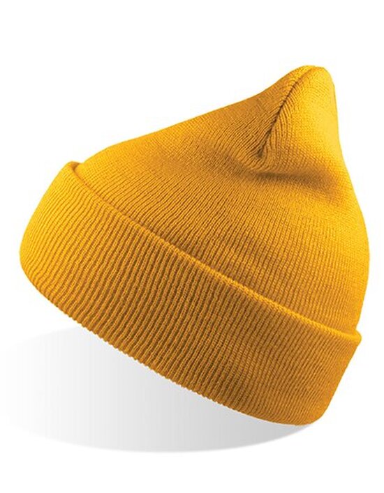Wind Beanie