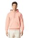 Softstyle® Midweight Sweat Adult Hoodie